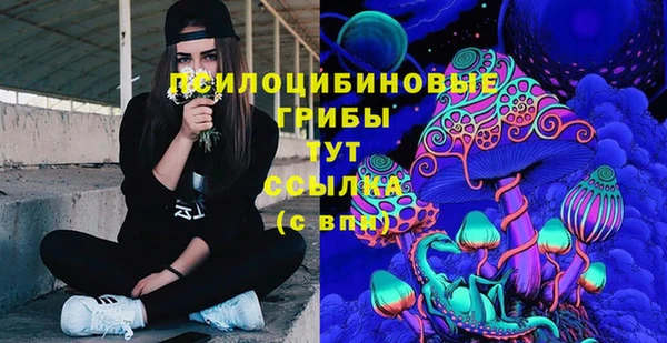 jwh Ладушкин