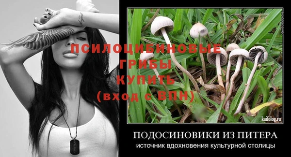 не бодяженный Аркадак