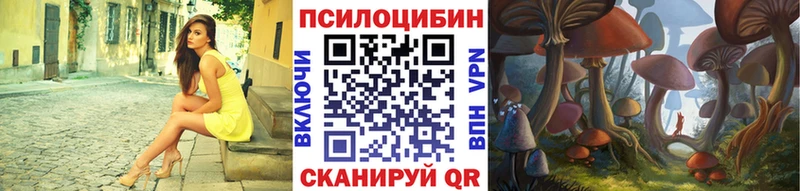 даркнет Telegram  Нижний Новгород  Псилоцибиновые грибы GOLDEN TEACHER  продажа наркотиков 