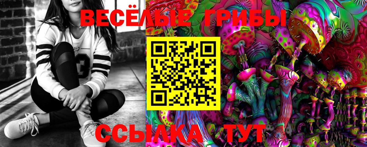 Псилоцибиновые грибы MAGIC MUSHROOMS  Нижний Новгород 