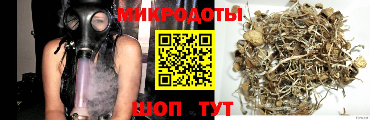Галлюциногенные грибы MAGIC MUSHROOMS  цена   Нижний Новгород  Вход с VPN  Галлюциногенные грибы MAGIC MUSHROOMS 