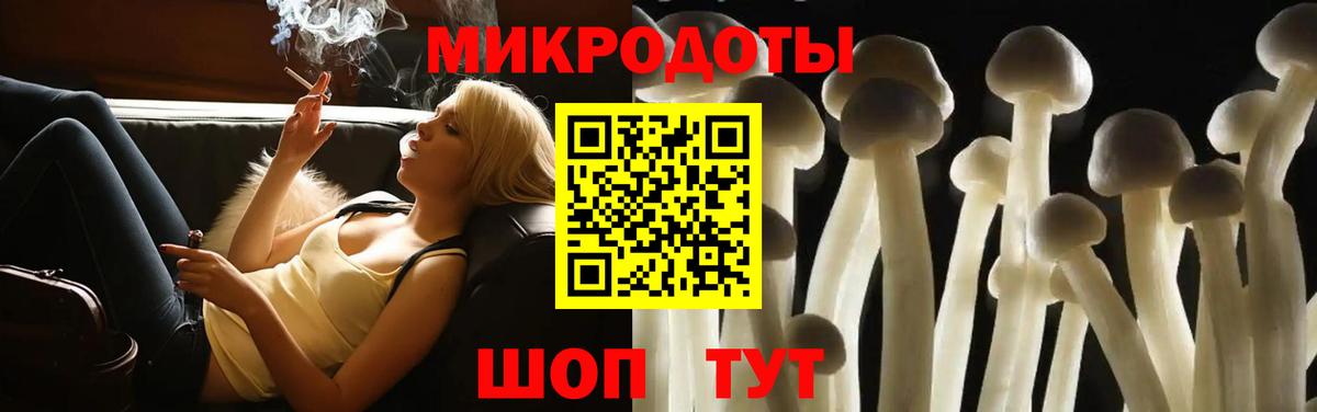 Псилоцибиновые грибы прущие грибы Нижний Новгород
